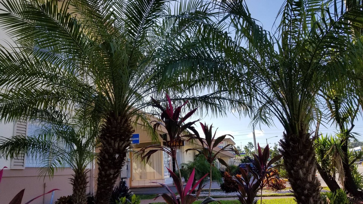 Miami Springs Hotel | Parkway Inn Airport Motel Miami