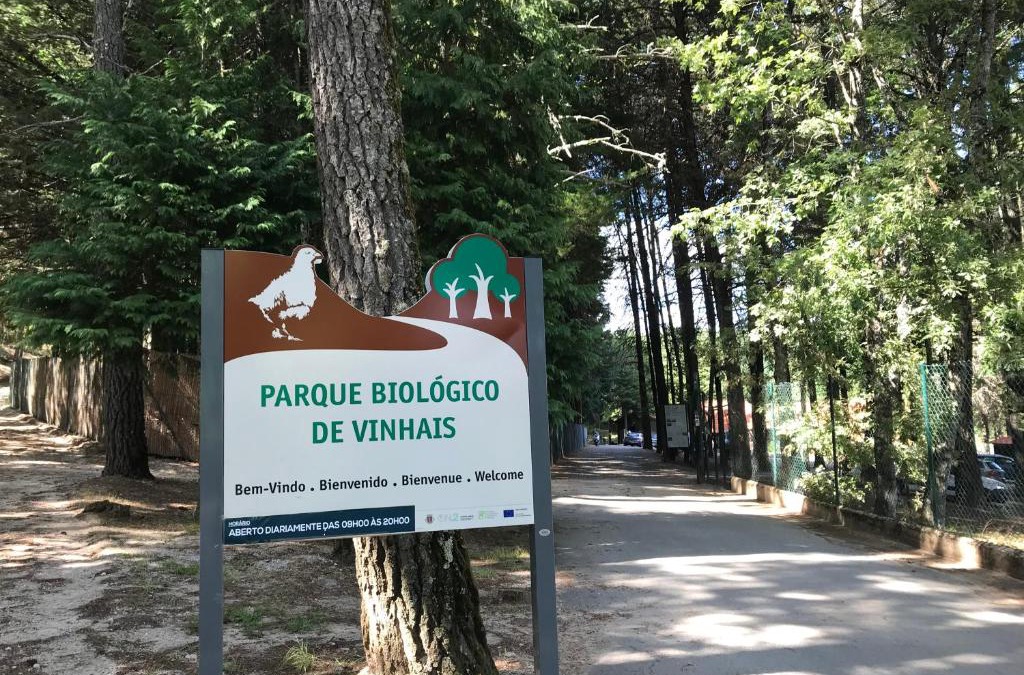 Vinhais Other | Parque Biologico de Vinhais