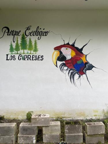 San Vicente Pacaya Other | Parque Ecológico los Cipreses Volcán Pacaya