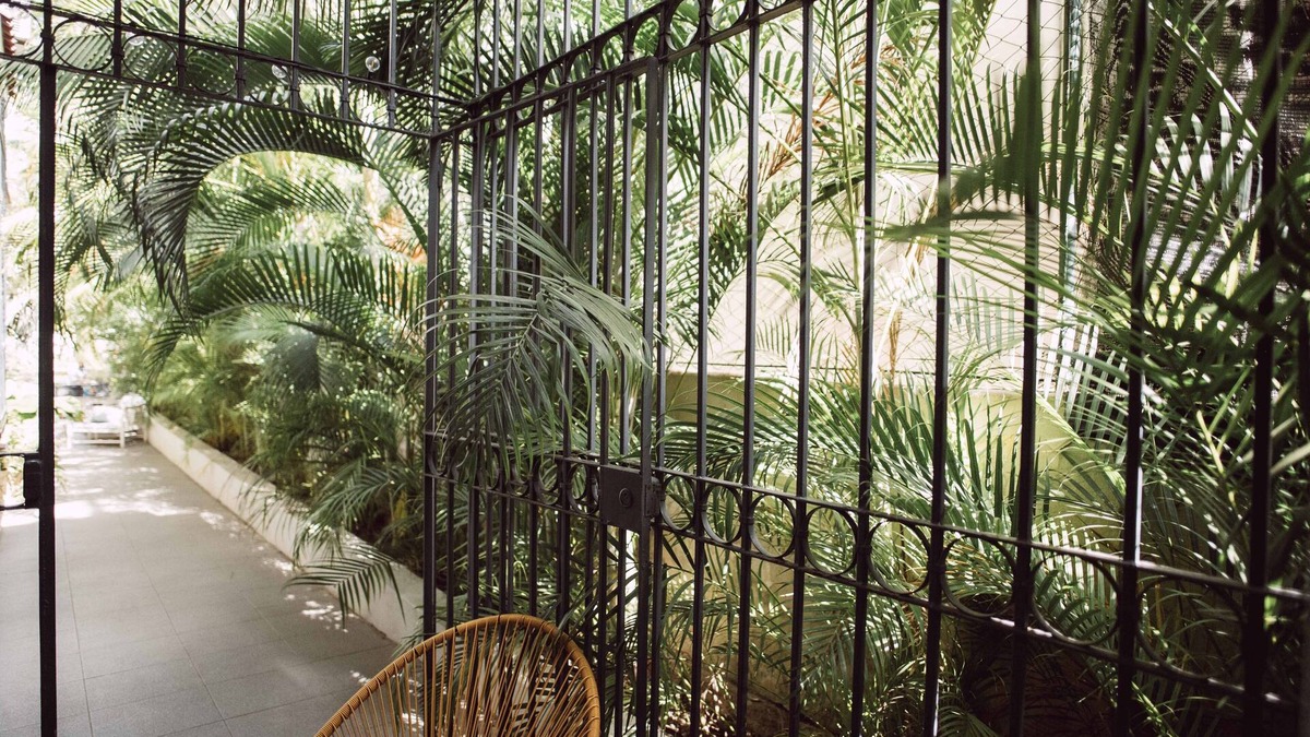 El Vedado Hotel | Paseo 206 Boutique Hotel
