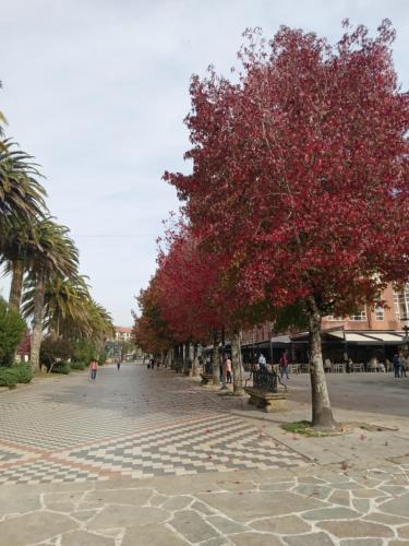 Noia Apartment | Paseo de Noia
