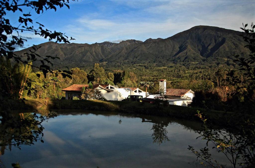 Arcabuco House | PASSADHI Ayurveda & Yoga Retreat