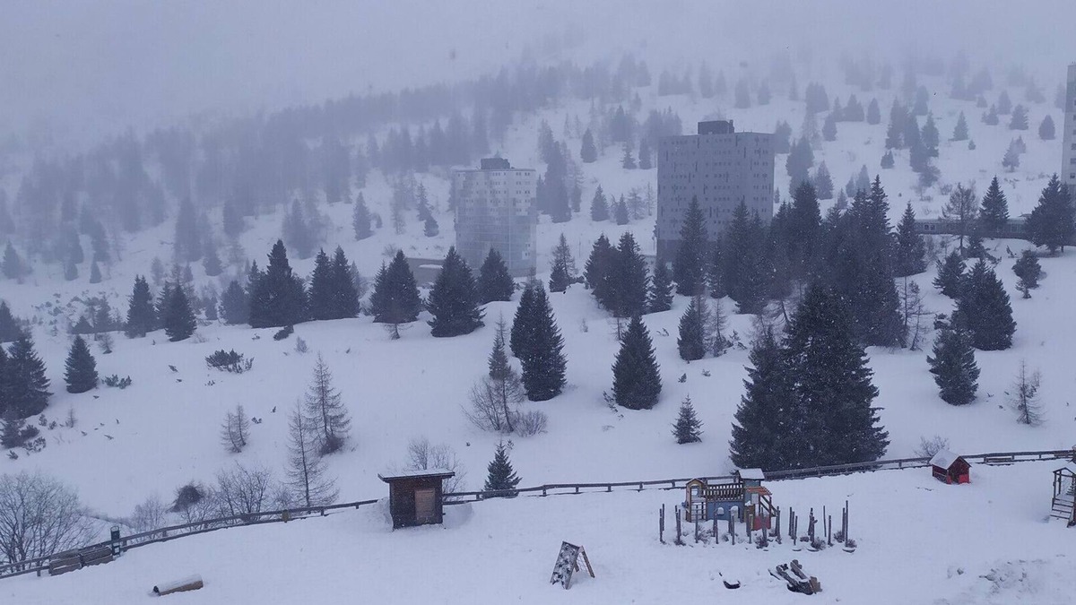 Passo del Tonale Apartment | Passo del Tonale, central apartment near ski slopes and hiking trails