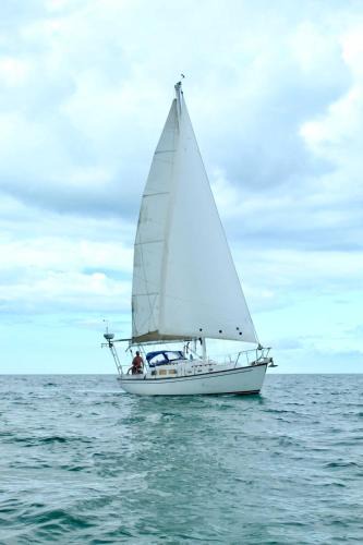 Isla Holbox Boat Rental | Patience Sailboat de 1 recámara
