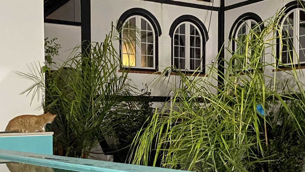 Coruche House | Patio da Villa Guest House