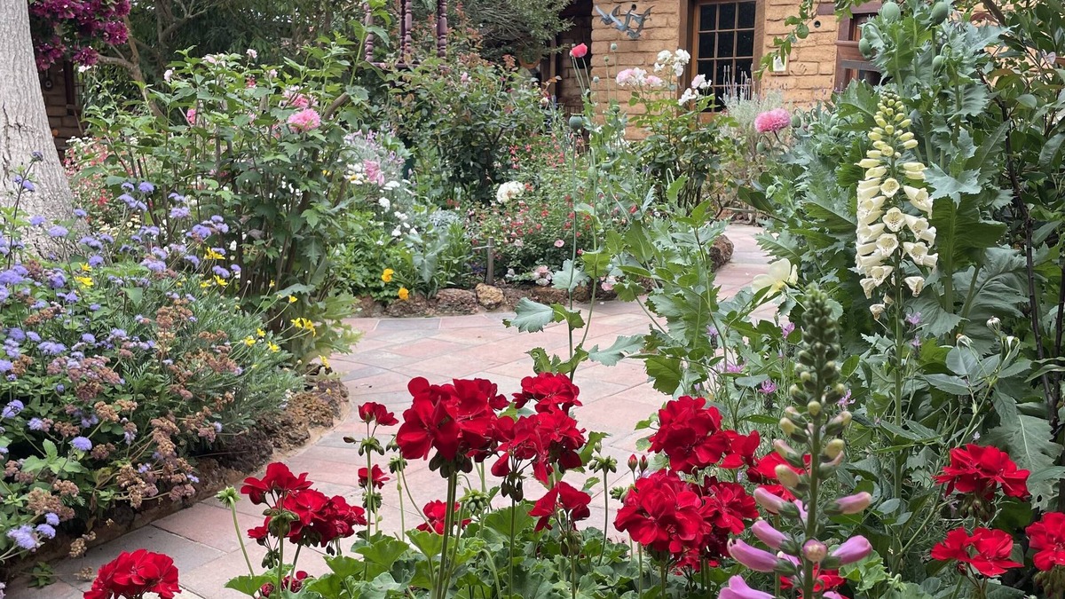 Witchcliffe Apartment | Patricia's Garden Studio at Swallows Welcome farm, close to Margaret River