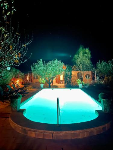 Tiszaszentimre Apartment | Patrimonium Wellness Apartments