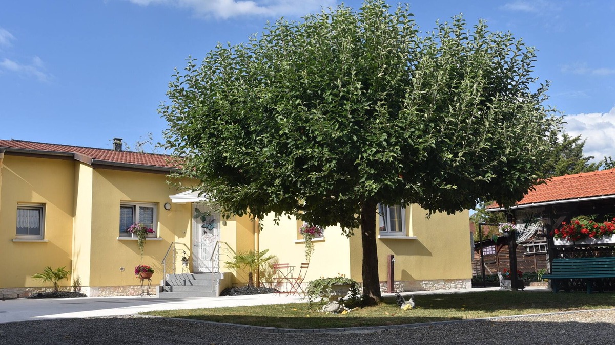 Ruelisheim House | Pavilion well located for visiting the region