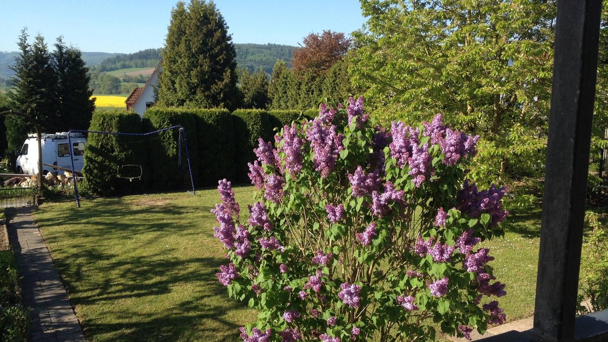 Bodenfelde Apartment | Pay 6 days 7 days drive Weserbergland, Solling, EC, WiFi, 2-8 pers