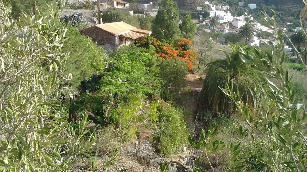Aguimes Cottage | Peace and tranquility on the Mountain with sea views