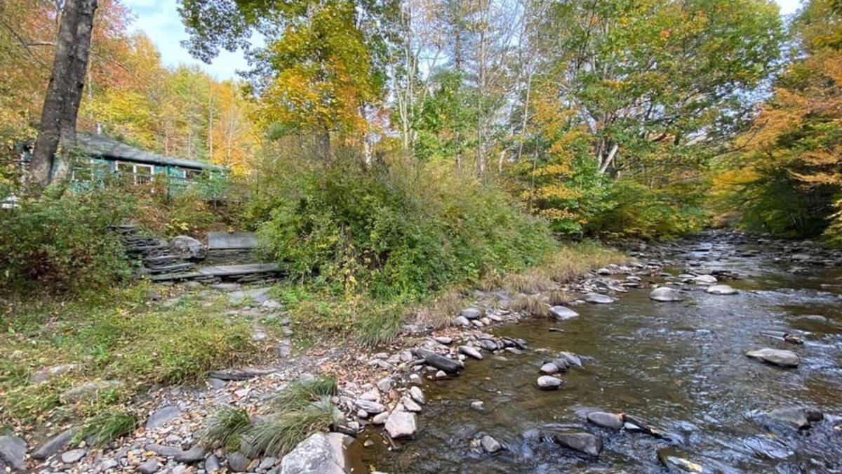Willow House | Peace Cottage