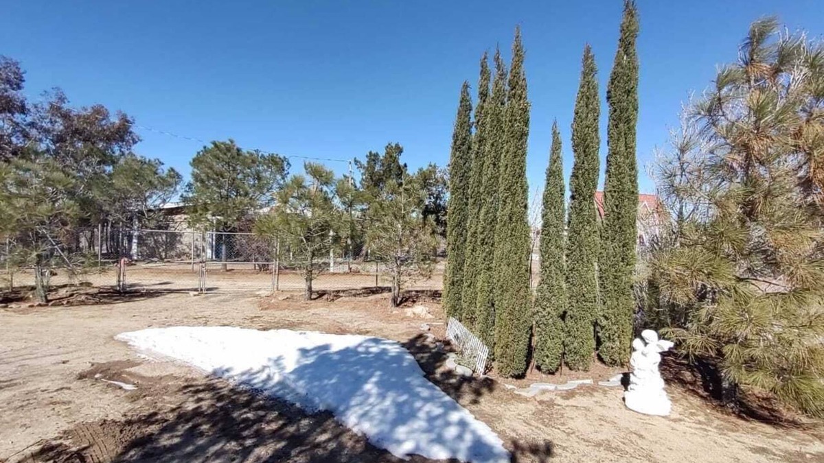 La Rumorosa House | Peace Family Friendly