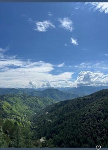 Chail House | Peace holiday homestay