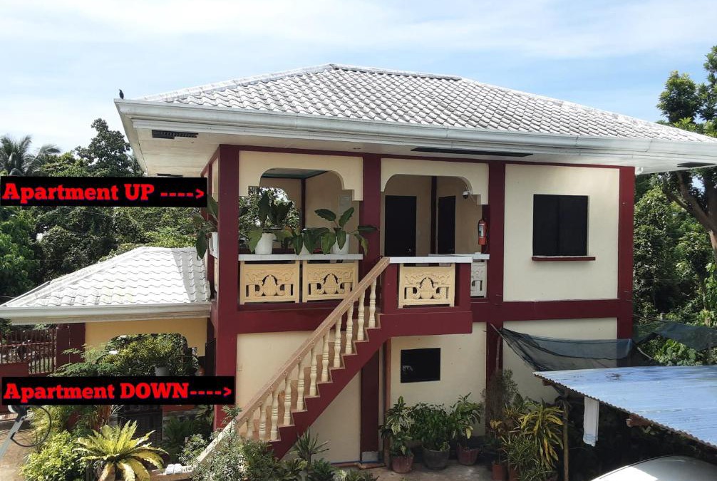 Tawala Apartment | Peace Lily Studio Apartments Panglao