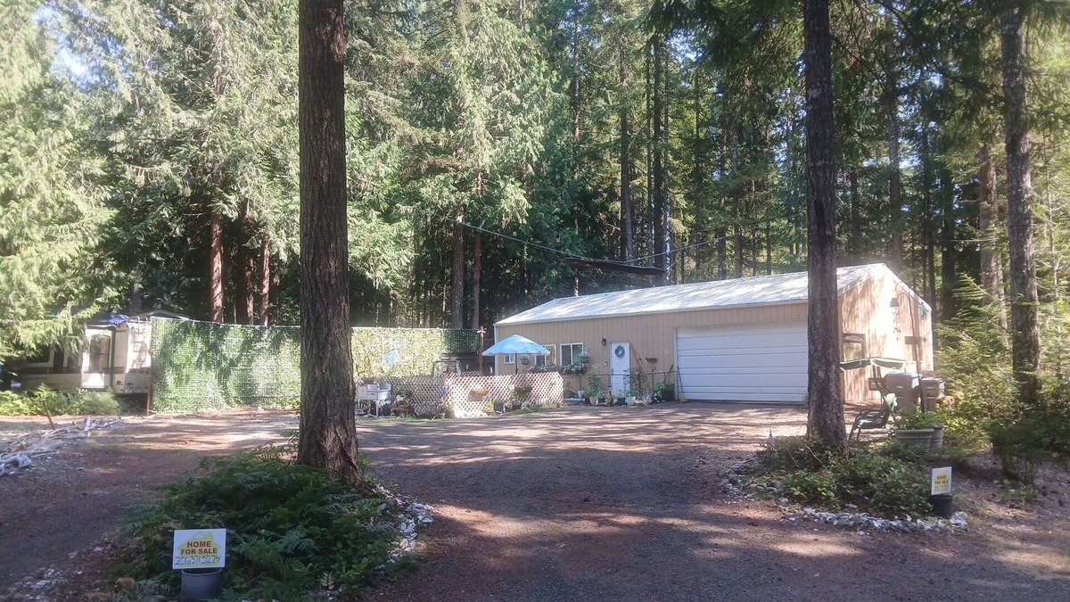 Hoodsport Cabin | Peaceful 1-bedroom sleeps 4 cabin. Immerse yourself in tranquility.