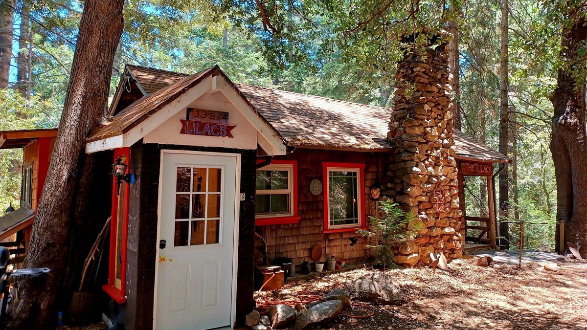 Palomar Mountain Cabin | Peaceful 1920s Cozy Cabin snuggled in 100 ft Pines -Palomar Mt, Bailey Meadows