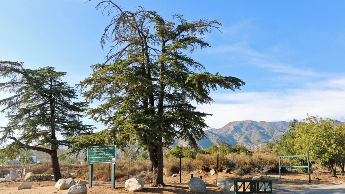 Sylmar House | Peaceful 1BR/1BA Retreat by the Mountains – A Cozy Escape in LA