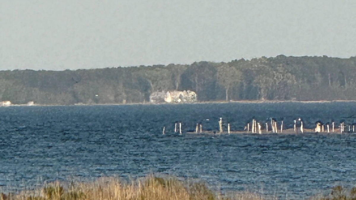 Piney Point Apartment | Peaceful 2-bedroom apartment in Piney Point-Budget friendly Pets welcomed