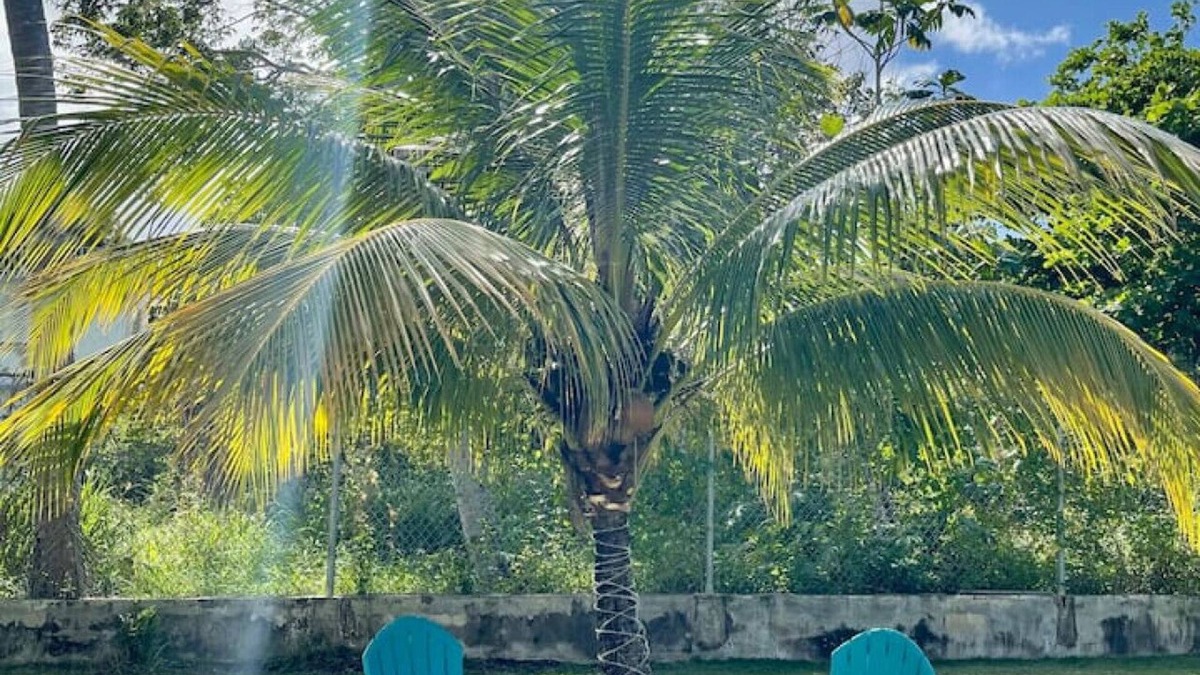 Playa Fortuna House | Peaceful 2 Bedroom Vacation Home in Luquillo Apt 2