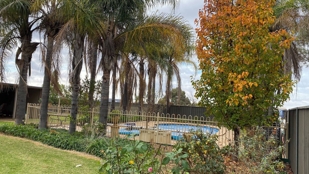 Cabarita House | Peaceful 4br home with pool. Room for the whole family including your fur babies
