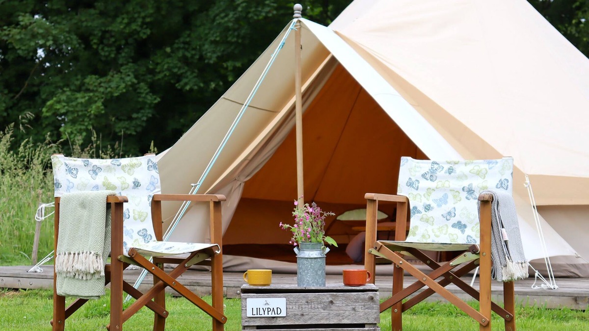 Swannington Cabin | Peaceful and hidden away in rural Norfolk, Lilypad sits amongst wild flowers