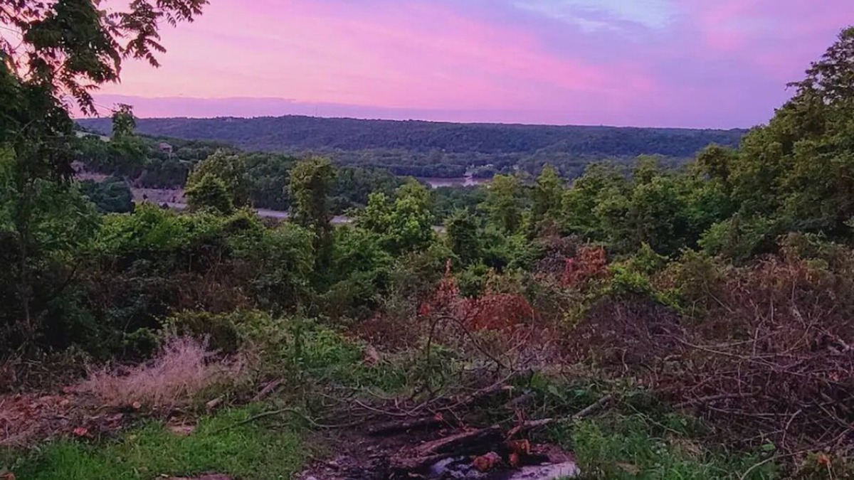 Foster Cabin | Peaceful, brand new cabin get-away at the center of 100-acre farm-built May 2022