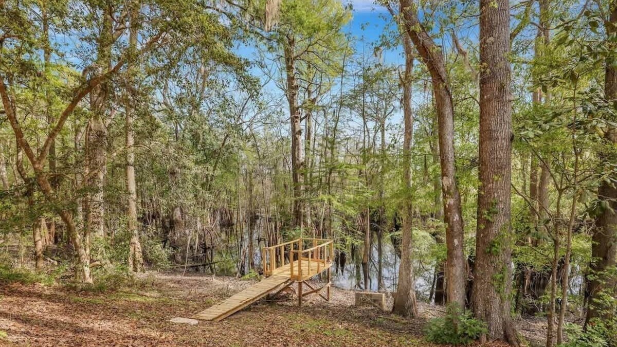 Pineland Cabin | Peaceful Cabin @ Ebenezer Creek