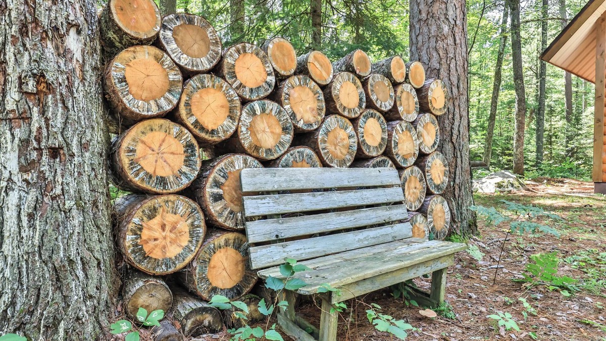 Lake Tomahawk Cabin | Peaceful cabin on 5 acres of woods.