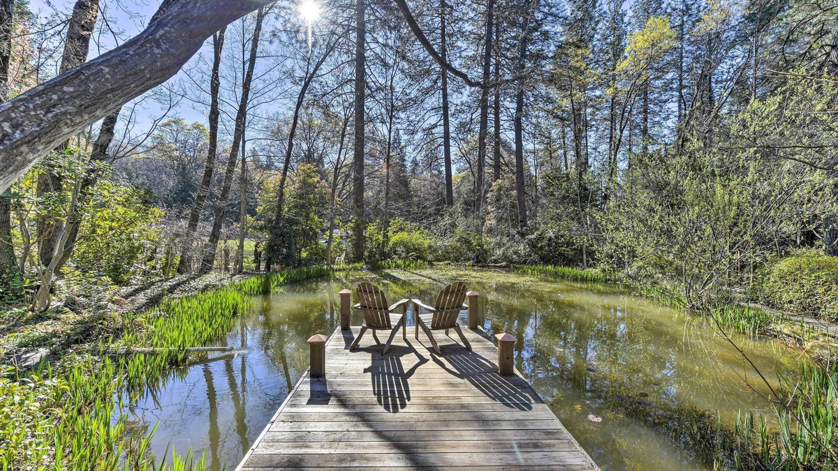 Cedar Ridge Cottage | Peaceful Cottage w/Grill & Yard in Grass Valley!