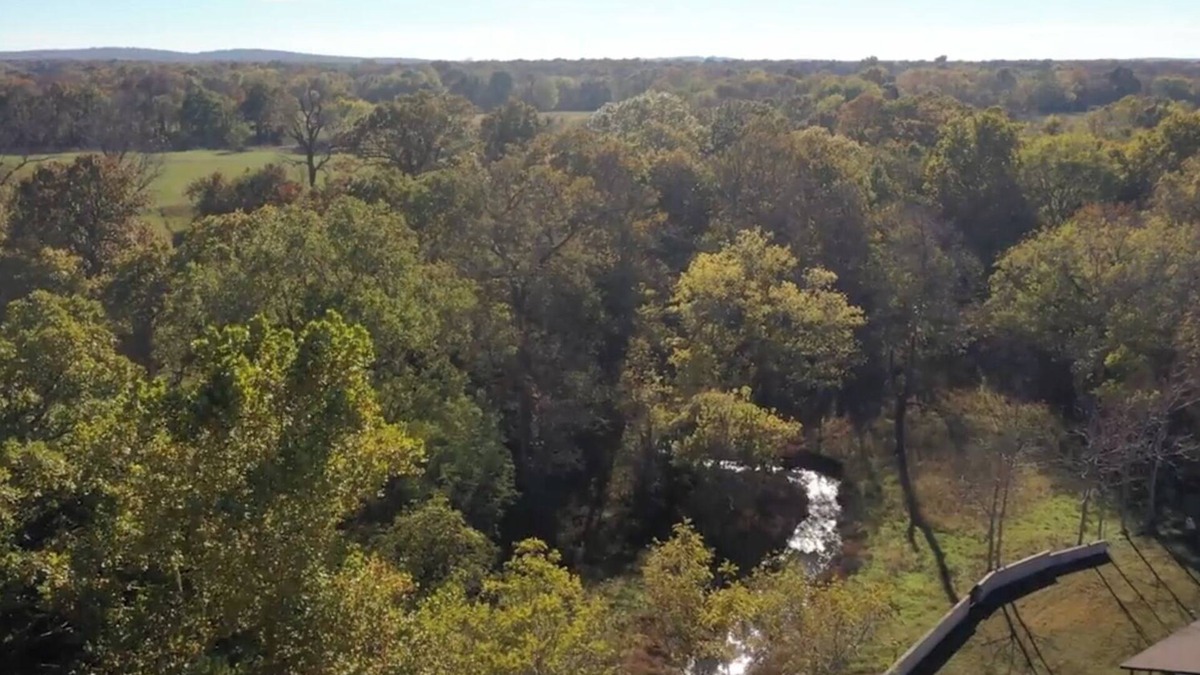 Rose Cabin | Peaceful creek-front cabin in the Ozark foothills, near historic Cherokee sites