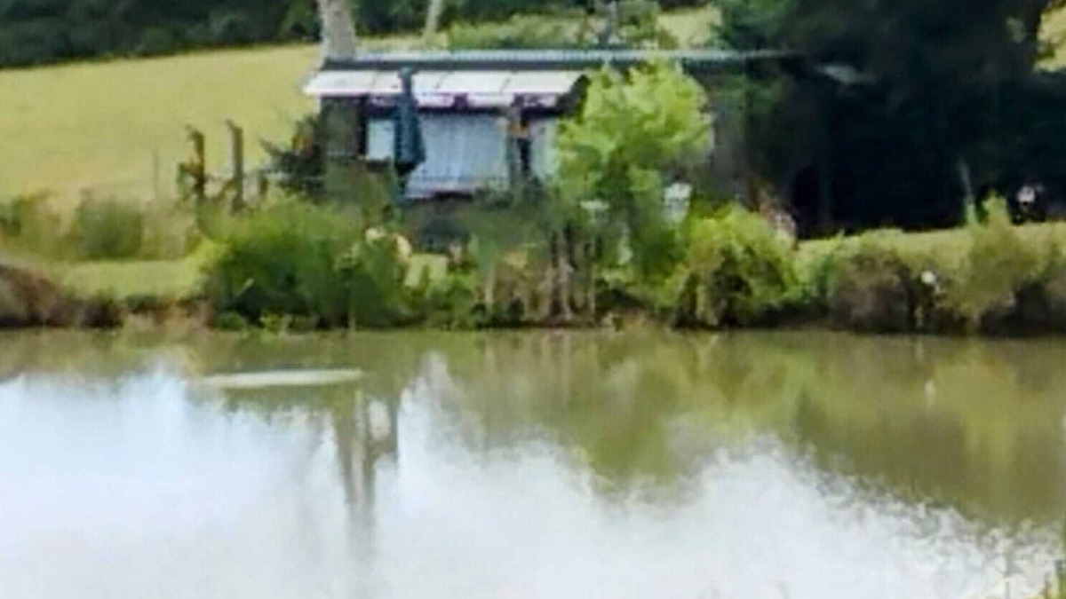 Hadlow Down Apartment | Peaceful en-suite cabin all mod cons. Close to and overlooking our fishing lake.