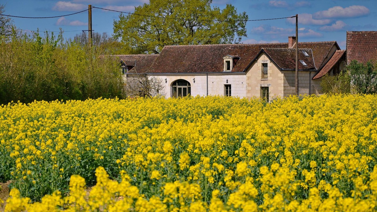 Villedieu-le-Chateau Other | peaceful farmhouse surrounded by fields and woods, renovated comfort