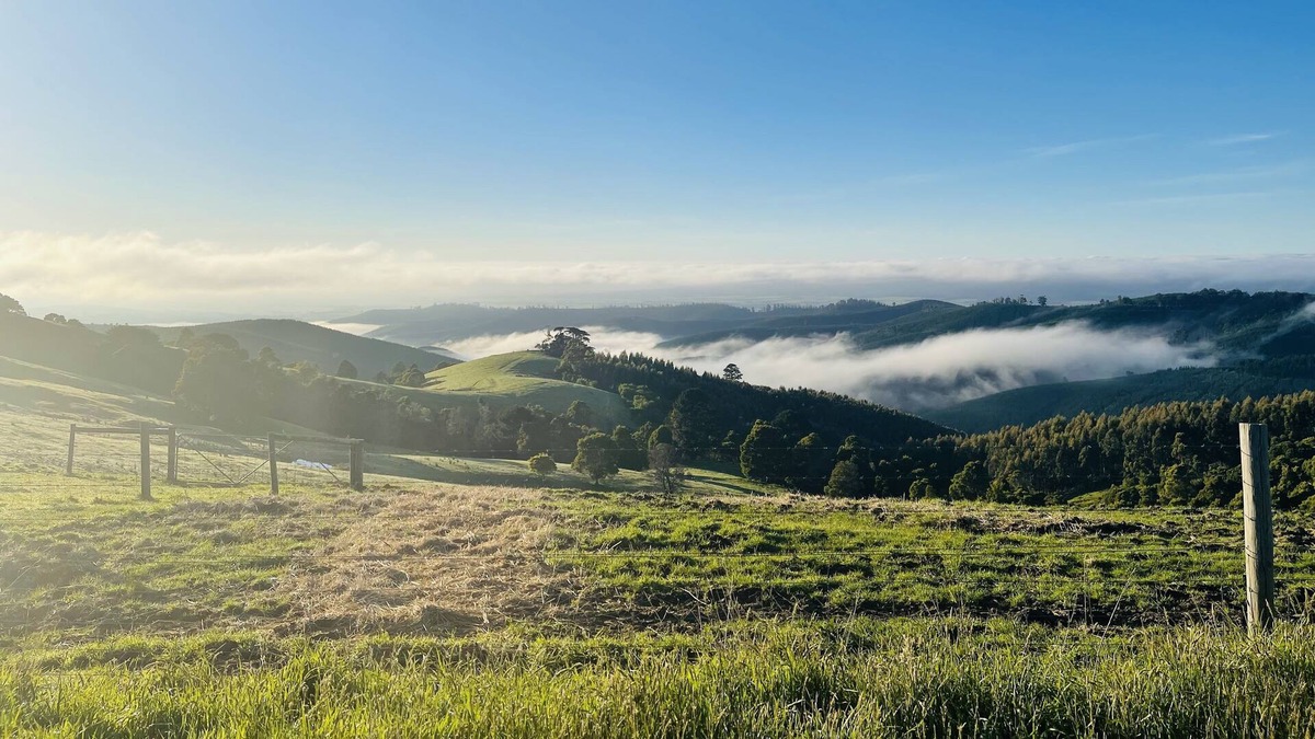 Madalya Other | Peaceful farmstay
