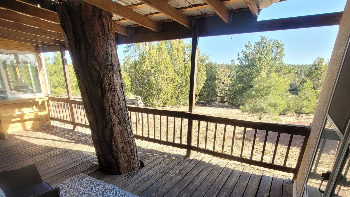 Allison Apartment | Peaceful Guest Suite Amongst The Tall Pines! Gaze at the stars from the hot tub!