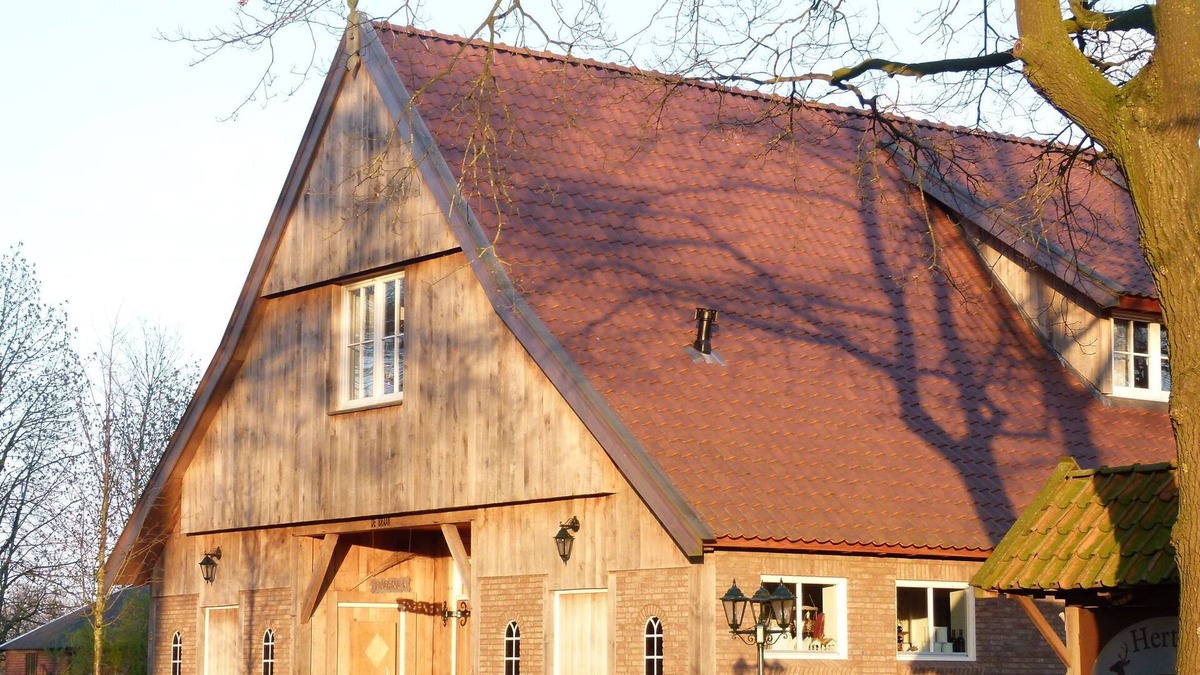 Municipality of Tubbergen House | Peaceful Holiday Home in Geesteren with Roofed Terrace