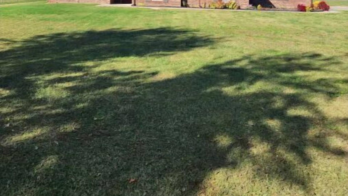 Verdigris House | Peaceful living 3 bed 2 bath on 3 acres