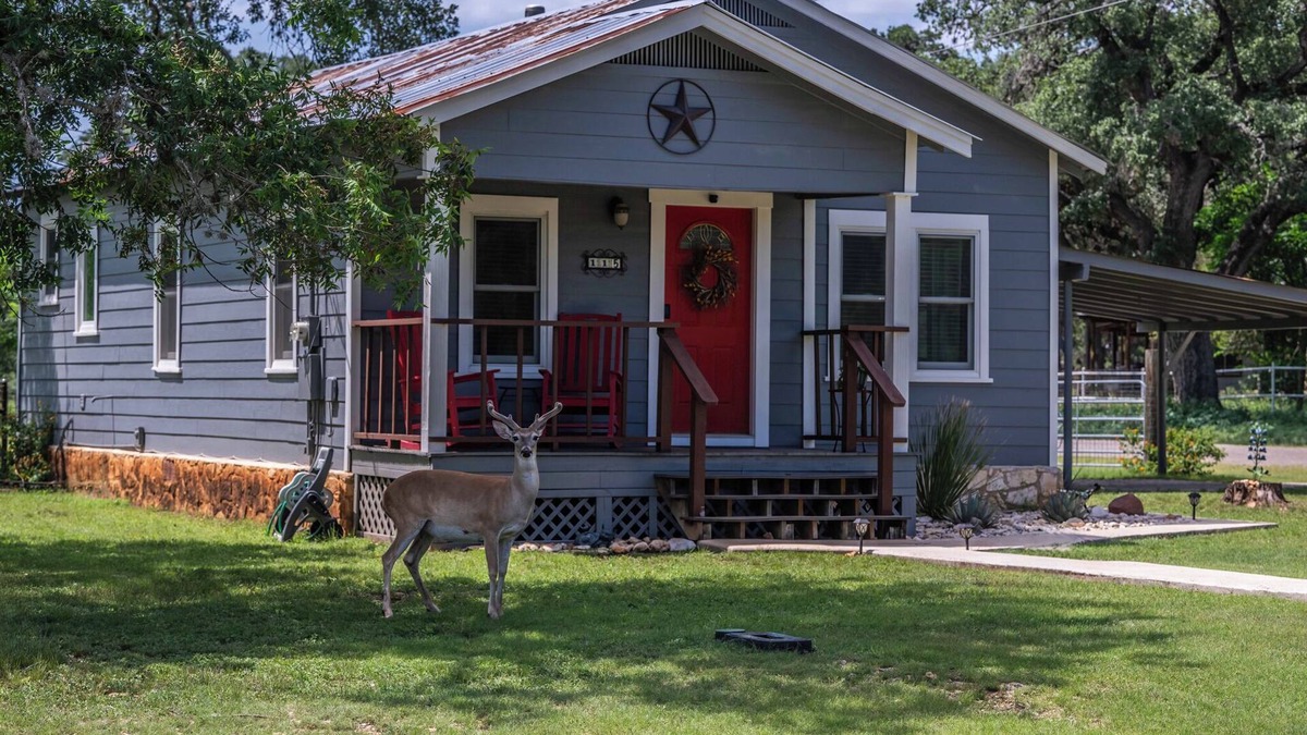 Bandera House | Peaceful Lower Downtown Bandera, King Bed, Pet Friendly w/Large Fenced Yard!