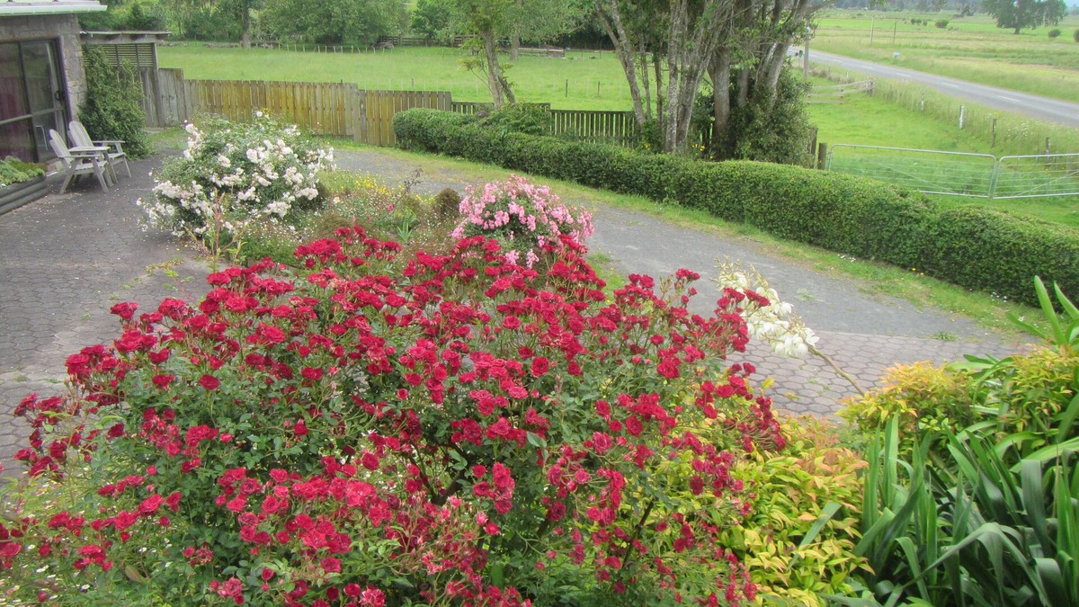 Waitakaruru Apartment | Peaceful Miranda area and less than an hour to AucklandnSleeps three