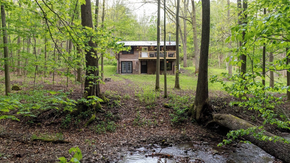 Naples Cabin | Peaceful Naples Cabin w/Deck & Stream Views
