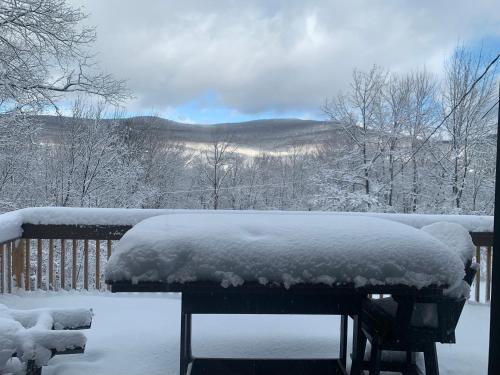Lanesville House | Peaceful Peaks Cabin