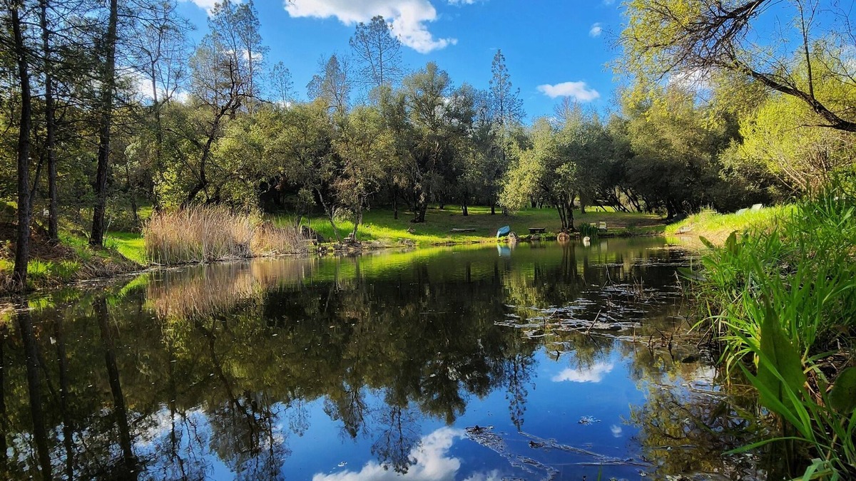 Cedar Ridge House | Peaceful Pond Retreat - Waterfront Camper Glamping