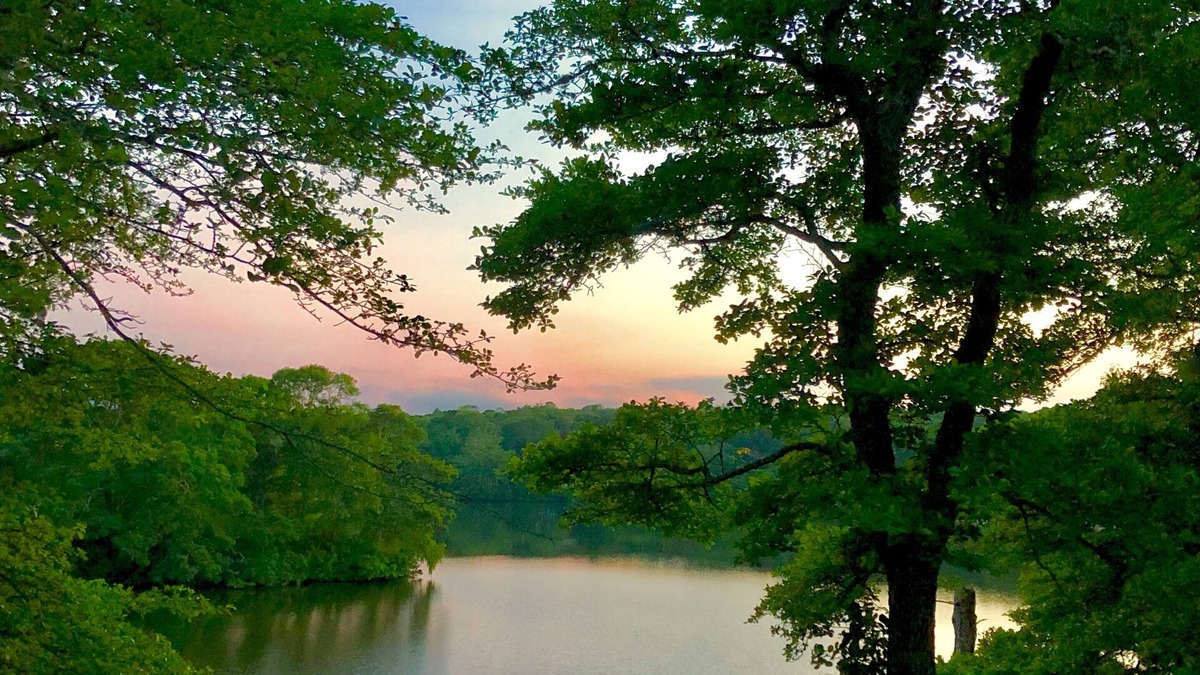 Falmouth House | Peaceful private retreat on pond, minutes from Falmouth and Woods Hole.