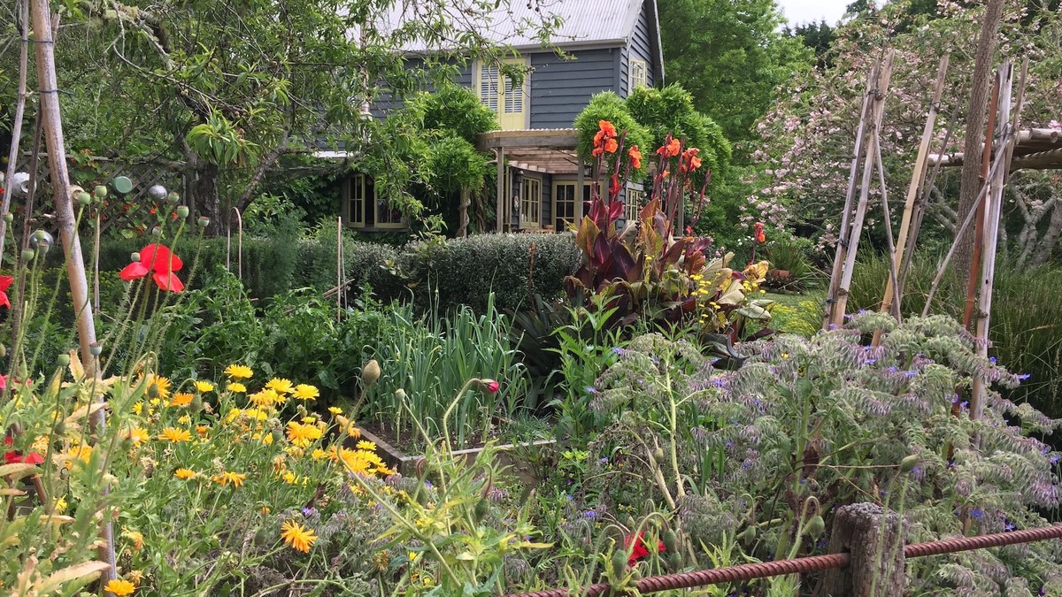 Wheki Valley House | Peaceful, private, stylish rural retreat.French inspired, light, airy, spacious.