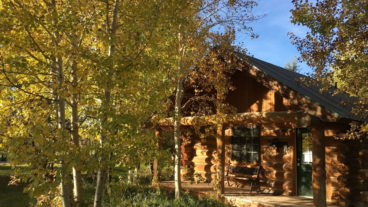 Rigby Cabin | Peaceful & Quiet 2Q Log Cabin w 3/4 Bath and Kitchenette