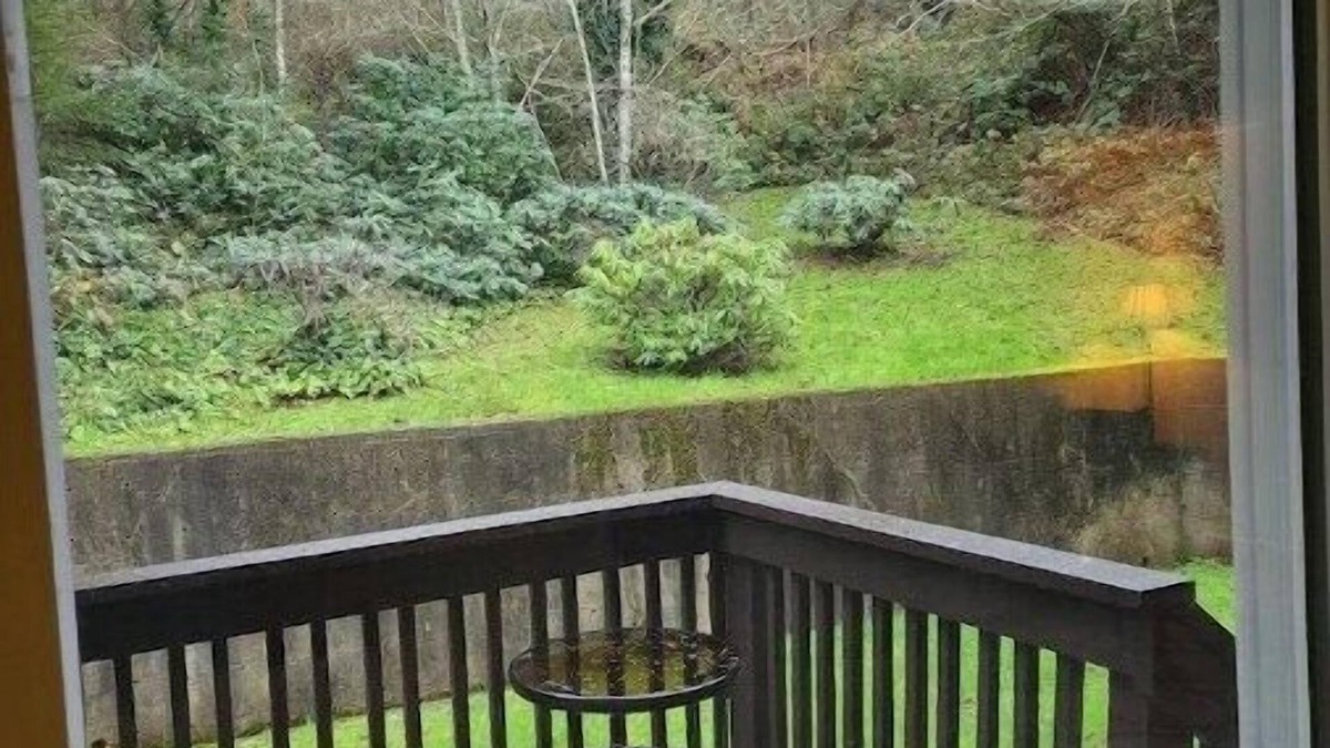 Coos Bay Apartment | Peaceful Retreat hike to parkn