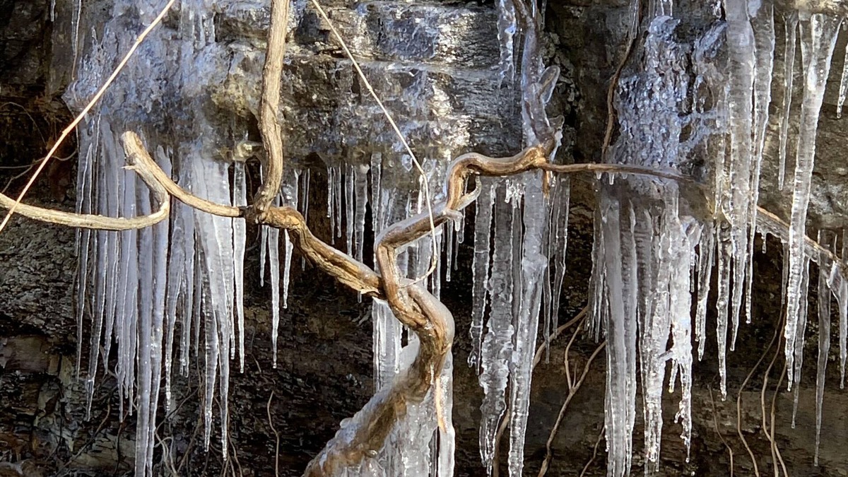 Scraper House | Peaceful River's Edge in Tahlequah