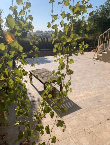 Modiin House | Peaceful Stay Between Tel Aviv, Jerusalem & the Airport