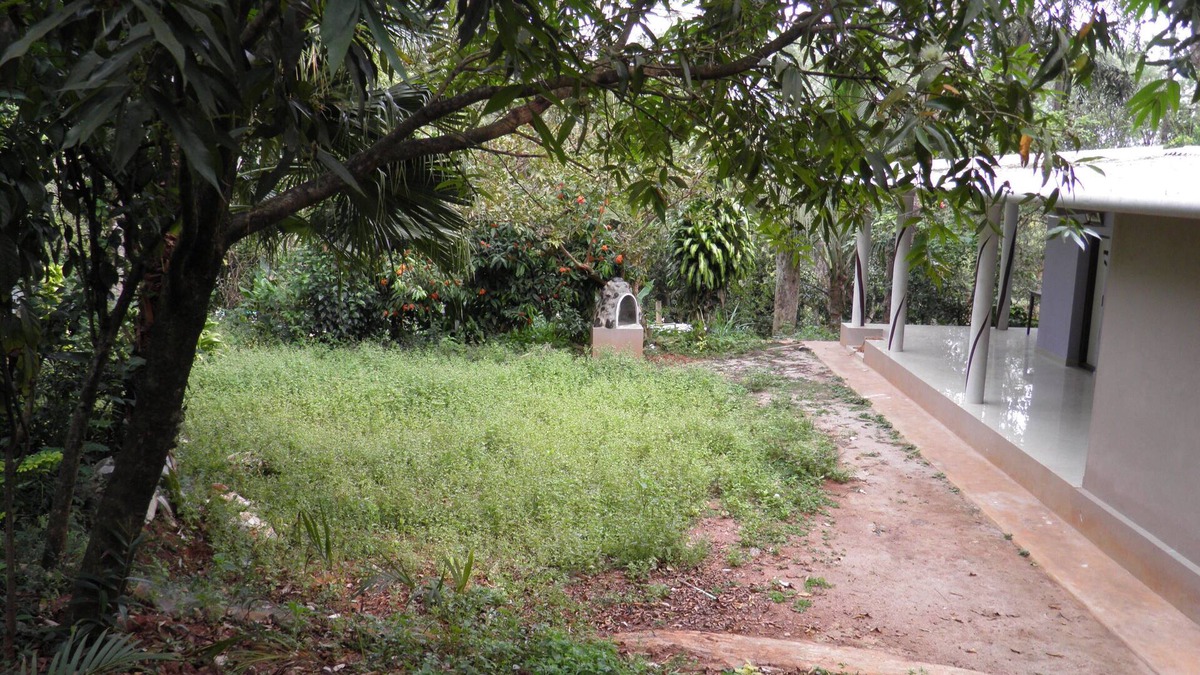 Somvarpet House | Peaceful, Serene and rejuvenating