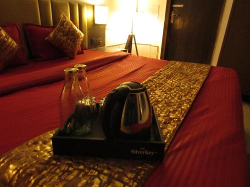 New Delhi House | Peaceful Stay