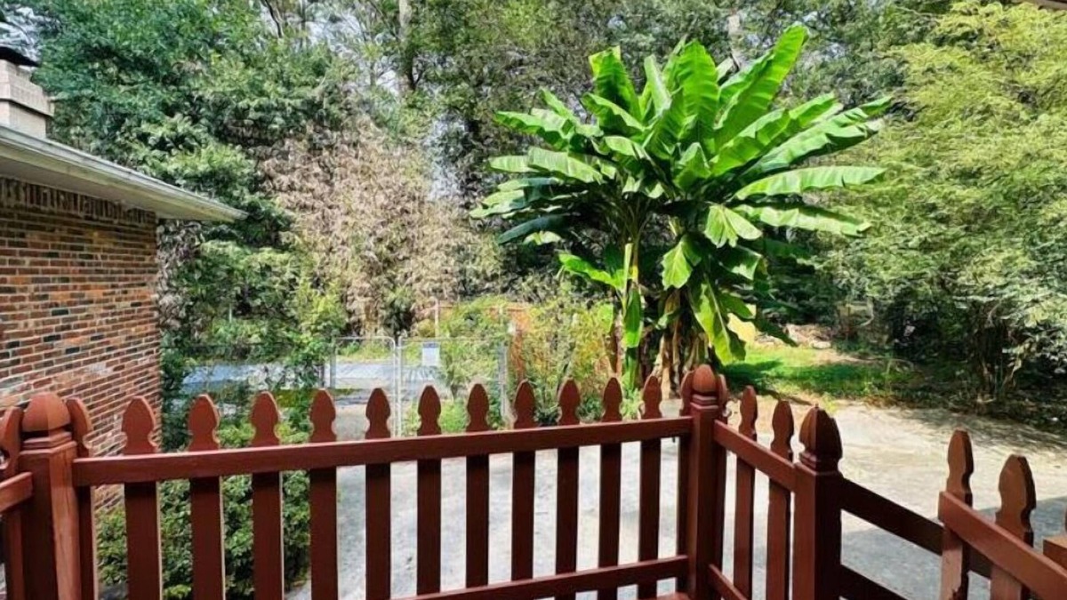 Forest Park House | Peaceful Suburban Gateway